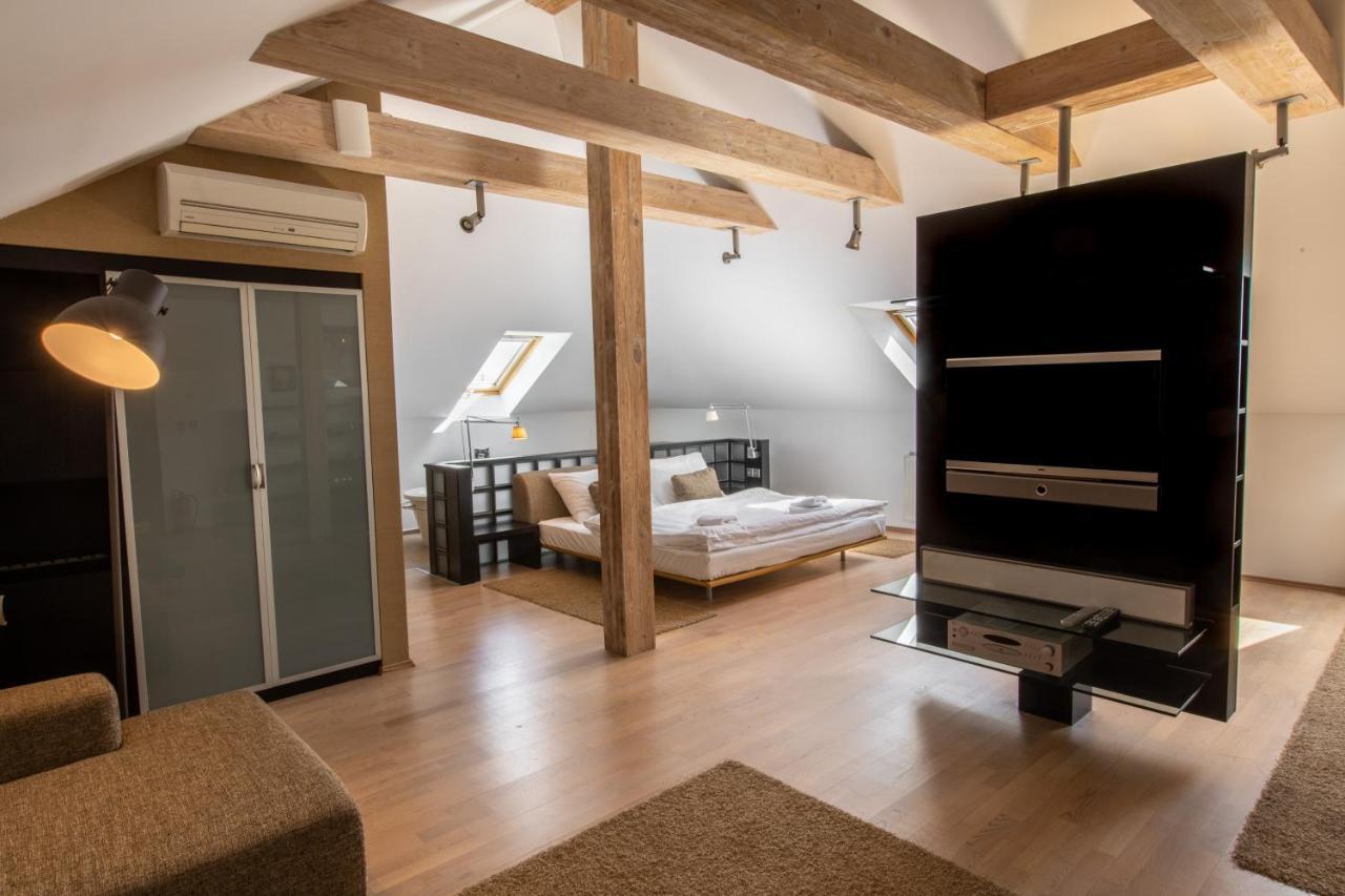 Hotel Villa Necas ジリナ エクステリア 写真