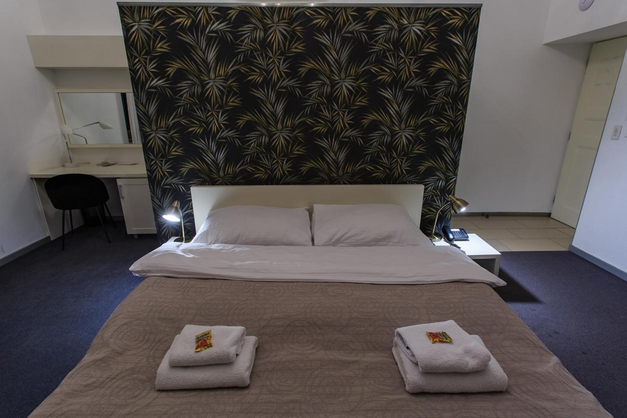 Hotel Villa Necas ジリナ エクステリア 写真